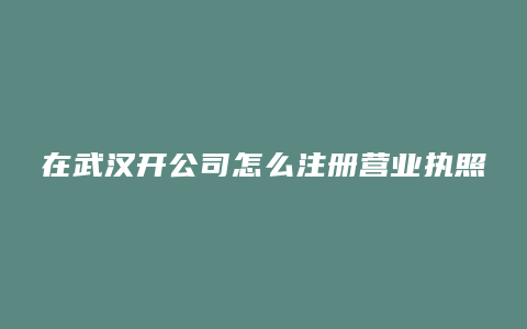 在武汉开公司怎么注册营业执照