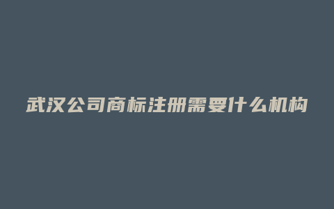 武汉公司商标注册需要什么机构