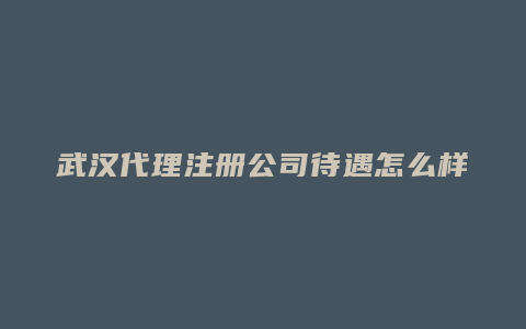 武汉代理注册公司待遇怎么样