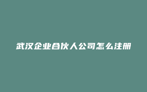 武汉企业合伙人公司怎么注册