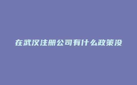 在武汉注册公司有什么政策没