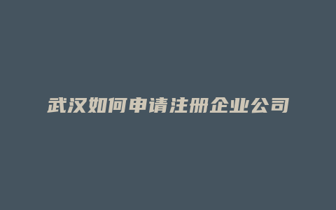 武汉如何申请注册企业公司