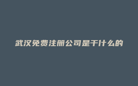 武汉免费注册公司是干什么的