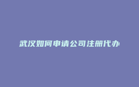 武汉如何申请公司注册代办