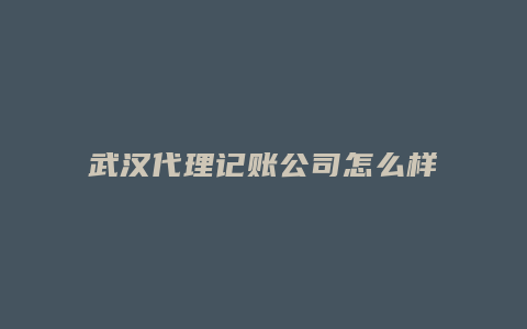 武汉代理记账公司怎么样