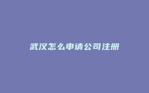 武汉怎么申请公司注册