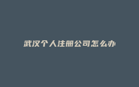 武汉个人注册公司怎么办