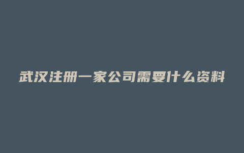 武汉注册一家公司需要什么资料