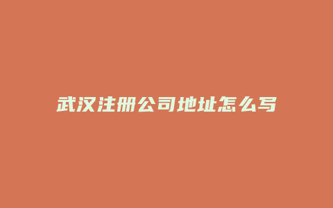 武汉注册公司地址怎么写